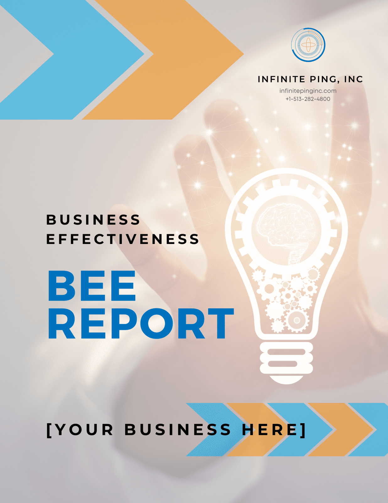 Business Effectiveness Evaluation Report